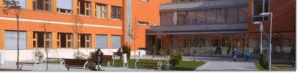 Suli--19-